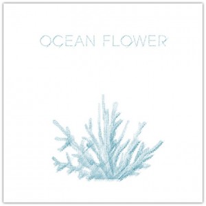 album cover image - Ocean Flower