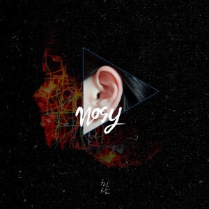 album cover image - Nosy