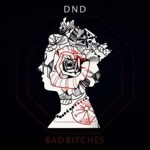 album cover image - Bad Bitches