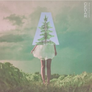 album cover image - Cedar