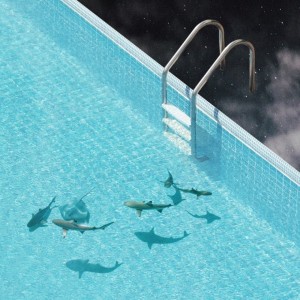 album cover image - Fish