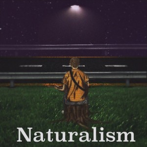 album cover image - Naturalism