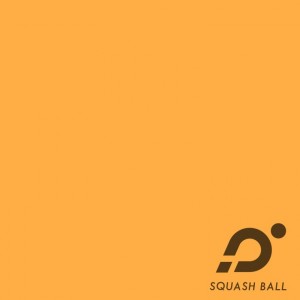 album cover image - 'SQUASH BALL'