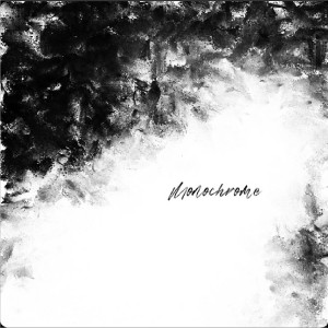 album cover image - Monochrome