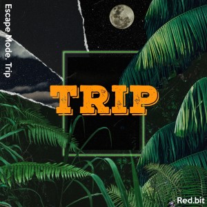 album cover image - Trip