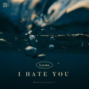album cover image - I Hate You