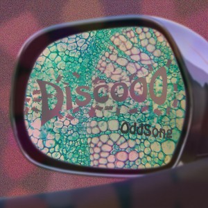 album cover image - Discooo