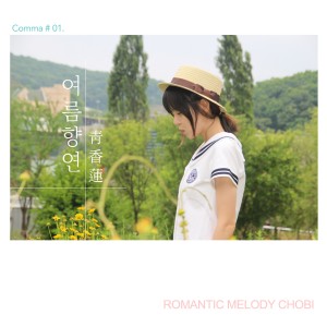 album cover image - 여름 향연