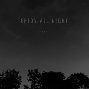 album cover image - Enjoy All Night