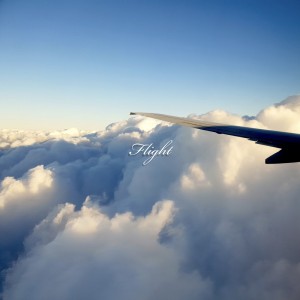 album cover image - Flight (Instrumental Album)