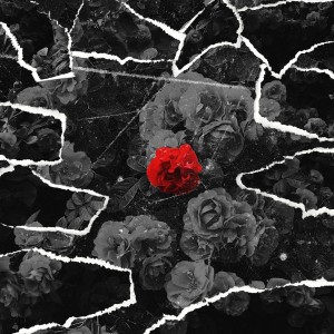 album cover image - Red Rose