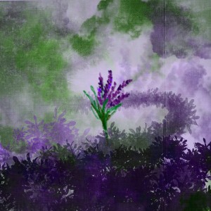 album cover image - Lavender
