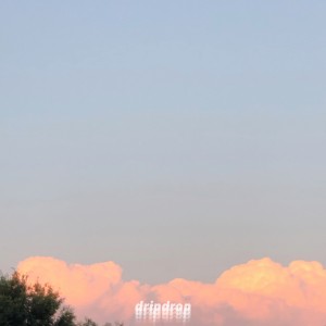 album cover image - dripdrop