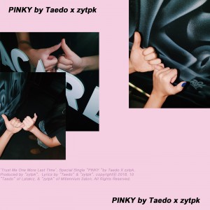 album cover image - 새끼 손가락 (PINKY)