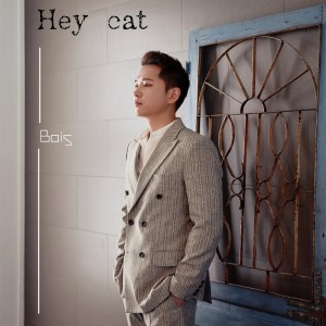 album cover image - Hey cat