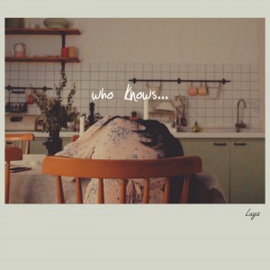 album cover image - Who Knows Who I am