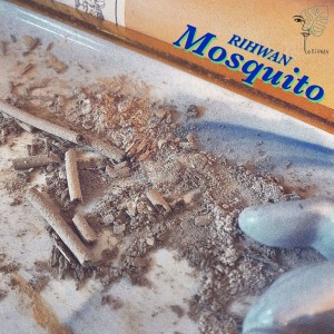 album cover image - Mosquito