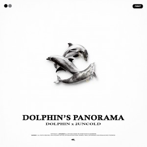 album cover image - Dolphin's Panorama (#1)