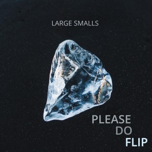 album cover image - Please do flip