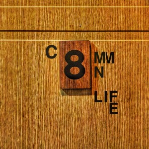 album cover image - COMMON LIFE