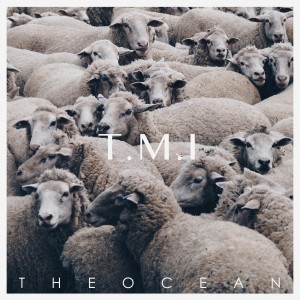 album cover image - T.M.I