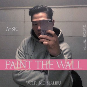 album cover image - PAINT THE WALL