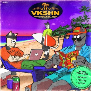album cover image - VKSHN