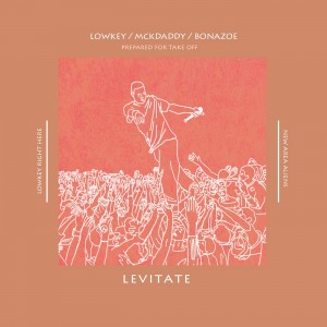 album cover image - Levitate