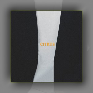 album cover image - CITRUS