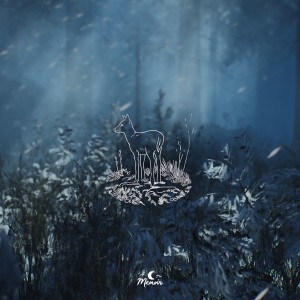 album cover image - Nightscape