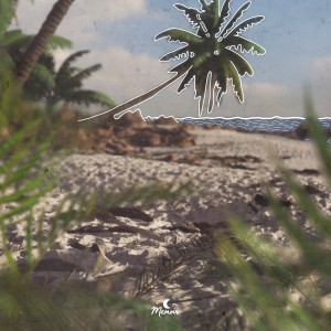 album cover image - Umbrella Pine