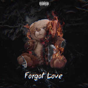album cover image - Forgot Love