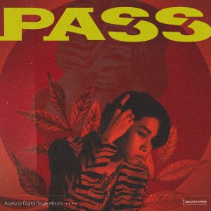 album cover image - PASS