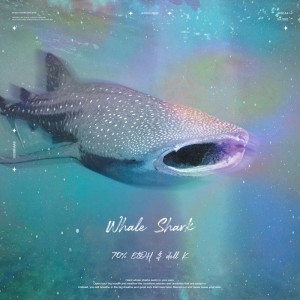album cover image - Whale Shark (고래상어)