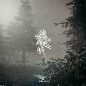 album cover image - Lilac