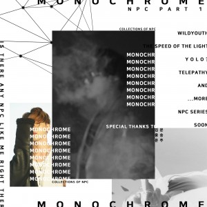 album cover image - MONOCHROME ： NPC PART.1