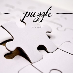 album cover image - Puzzle