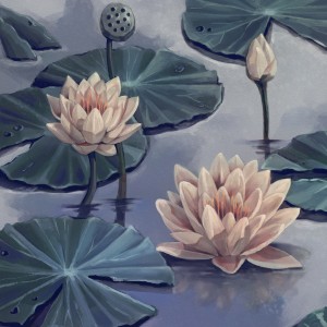 album cover image - Lotus
