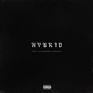 album cover image - Hybrid