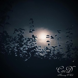 album cover image - CorD