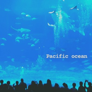 album cover image - Pacific ocean