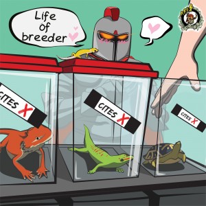 album cover image - L.o.b (Life of breeder)