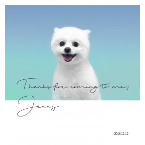 album cover image - 제니