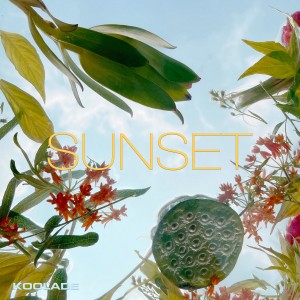 album cover image - Sunset