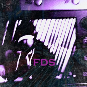 album cover image - fds