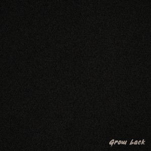 album cover image - Grow back