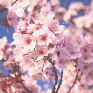 album cover image - Flower Way