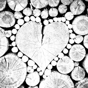 album cover image - HEART