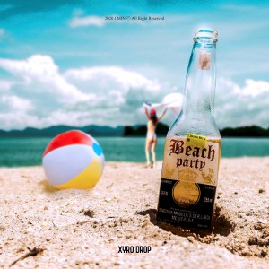 album cover image - Beach Party