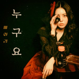 album cover image - 노래하는메아리1st